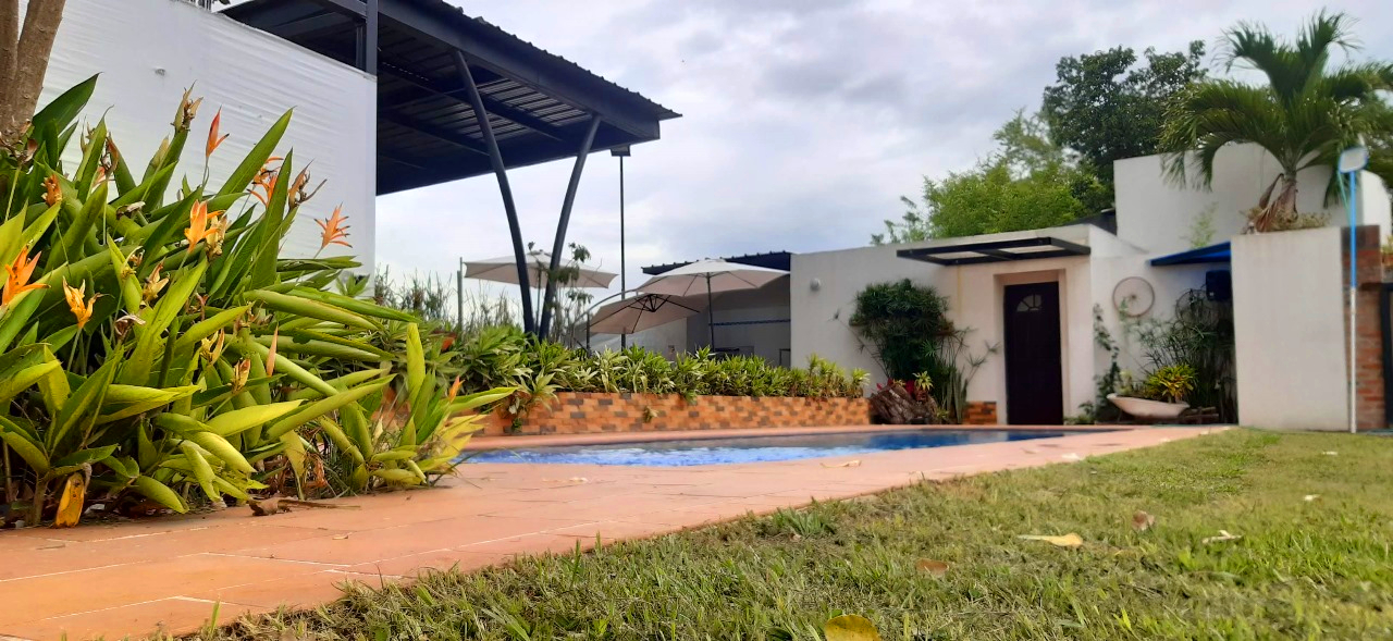 Jardín y piscina